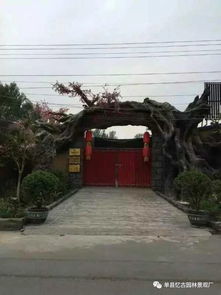 鶴壁景觀古樹(shù)大門(mén)施工與工程技術(shù)咨詢(xún)服務(wù)