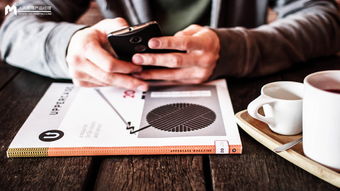 互聯(lián)網(wǎng)產(chǎn)品運(yùn)營(yíng)體系構(gòu)建 從產(chǎn)品運(yùn)營(yíng)到網(wǎng)絡(luò)開(kāi)發(fā)的協(xié)同之路